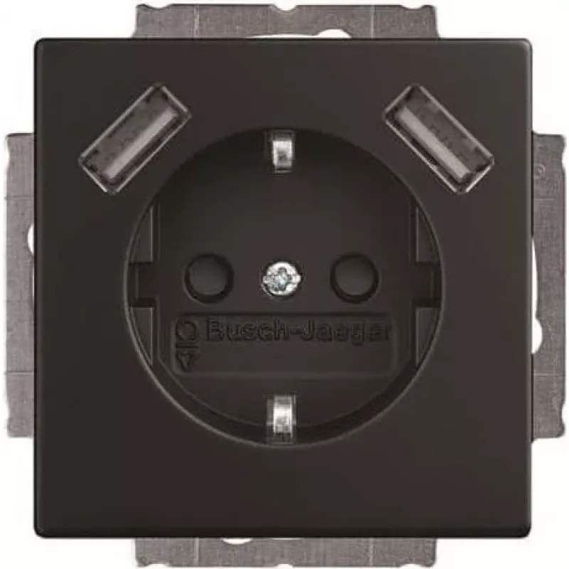 BJ 20 EUCB2USB-885 SCHUKO-/2x USB kištukinis lizdas (2CKA002011A6279)