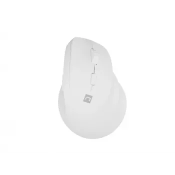 NATEC Crake 2 pelė, universali, dešiniarankiams, RF belaidė + Bluetooth optinė 2400 DPI