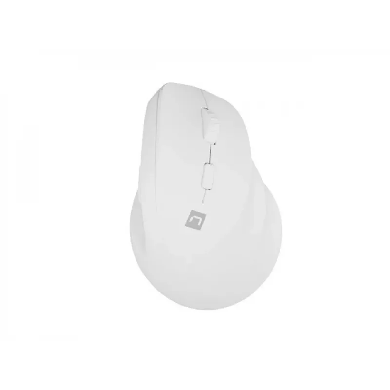 NATEC Crake 2 pelė, universali, dešiniarankiams, RF belaidė + Bluetooth optinė 2400 DPI