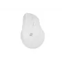 NATEC Crake 2 pelė, universali, dešiniarankiams, RF belaidė + Bluetooth optinė 2400 DPI