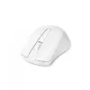 Pelė DICOTA D31659W RF belaidė USB Type-C