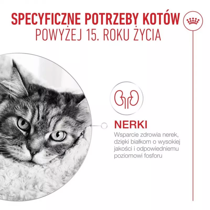 Sausas kačių maistas Royal Canin FHN Cat Ageing 15+ 2 kg — vyresnio amžiaus katėms nuo 15 metų, paukštienos skonio, 31 % baltymų