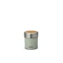 Thermos Preppen vakuuminis ąsotis 700 Mėtų