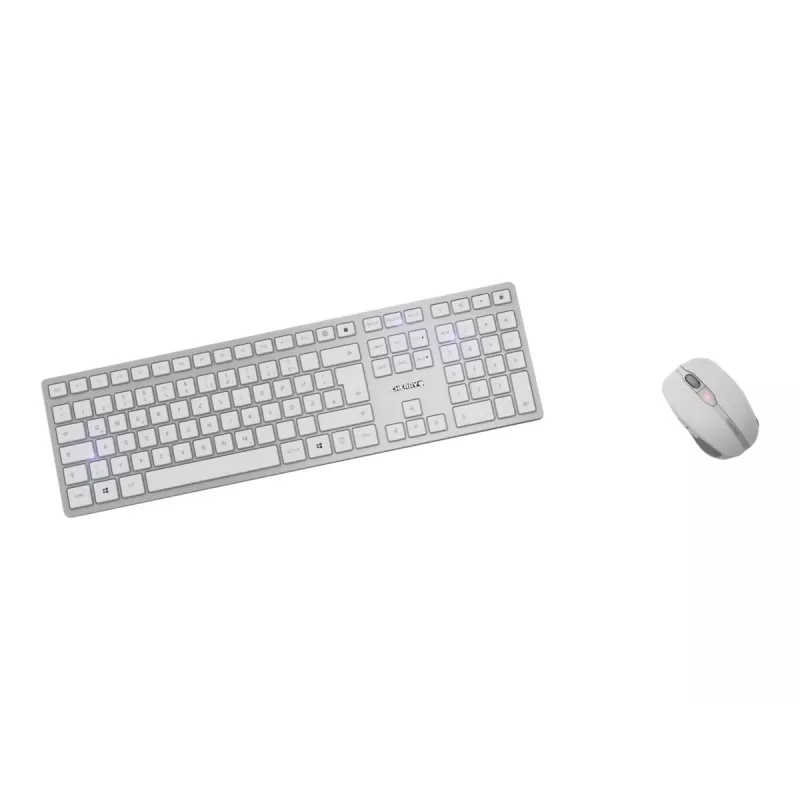 CHERRY DW 9100 plonas klaviatūra Pridedama pelė Universali RF belaidė + Bluetooth čekų, slovakų Sidabrinė