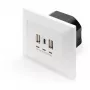 DIGITUS DA-70618 - USB išvestis - USB, USB Type C - 2 USB prievadai, 1 USB-C lizdas - 3,1 A - RAL 9003, signalinė balta