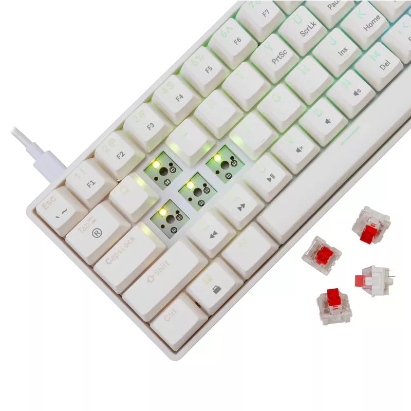 Laidinė mechaninė klaviatūra White Shark Shinobi-2 (GK-004211) — US išdėstymas, raudoni jungikliai, balta