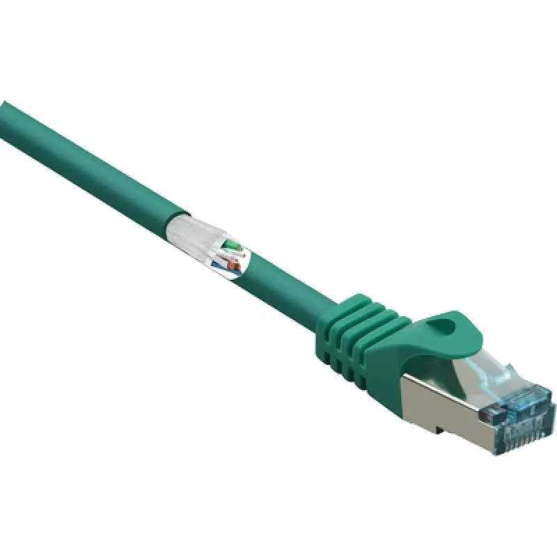 Renkforce RF-5462398 Ethernet komutacinis kabelis, žalias