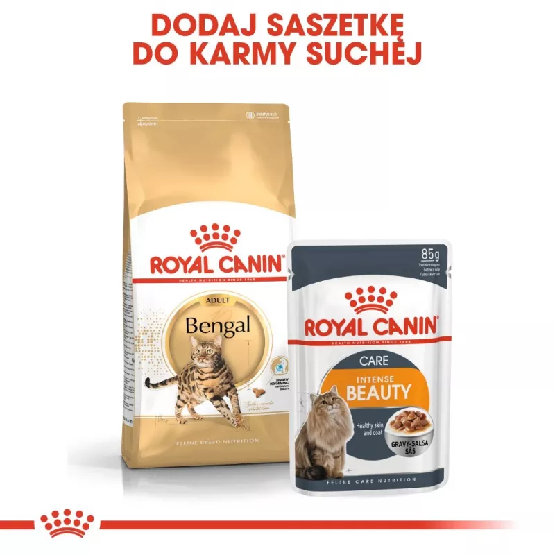 Sausas kačių ėdalas Royal Canin Bengal Adult 2 kg — paukštiena, 40 % baltymų, 18 % riebalų, virškinimo ir odos priežiūra