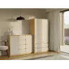komoda su 2 durelės ir 4 stalčiai, artisan ąžuolas/kašmyro spalva