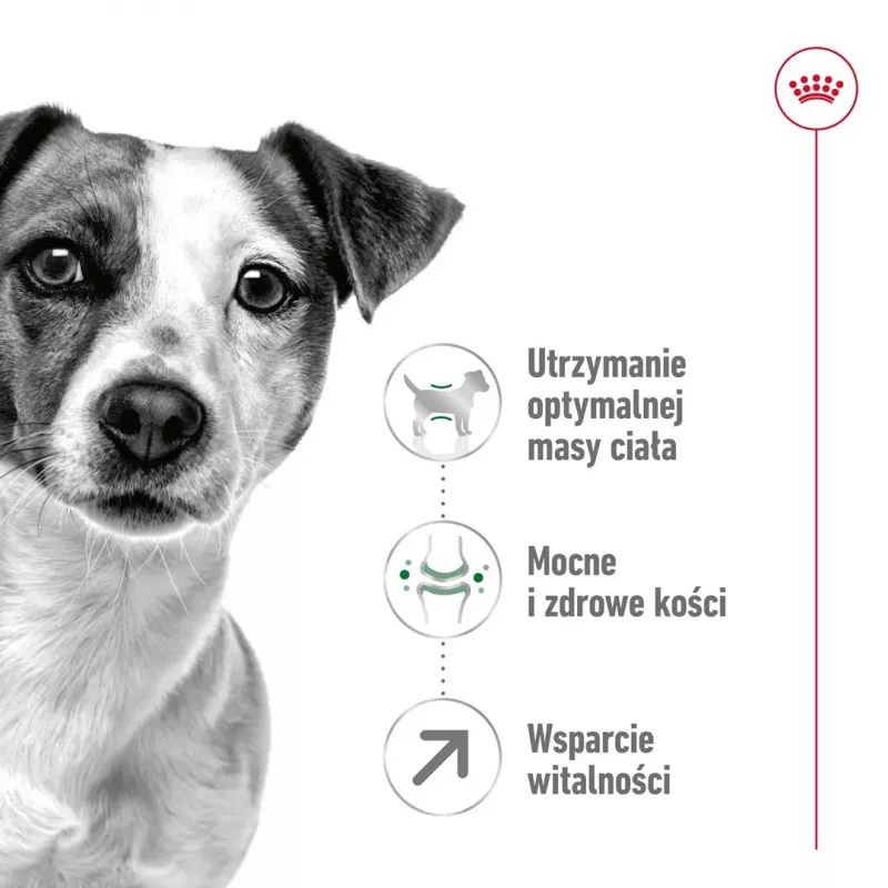 Sausas šunų ėdalas Royal Canin Mini Adult 8+ 2 kg – mažos veislės 5–10 kg, paukštiena, svorio kontrolės formulė