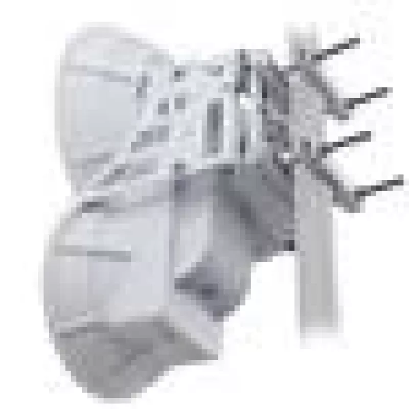 Ubiquiti AirFiber AF-24, 1,4 Gbps+ atgalinis ryšys, 24 GHz (kaina už vienetą) 1,4 Gbps+