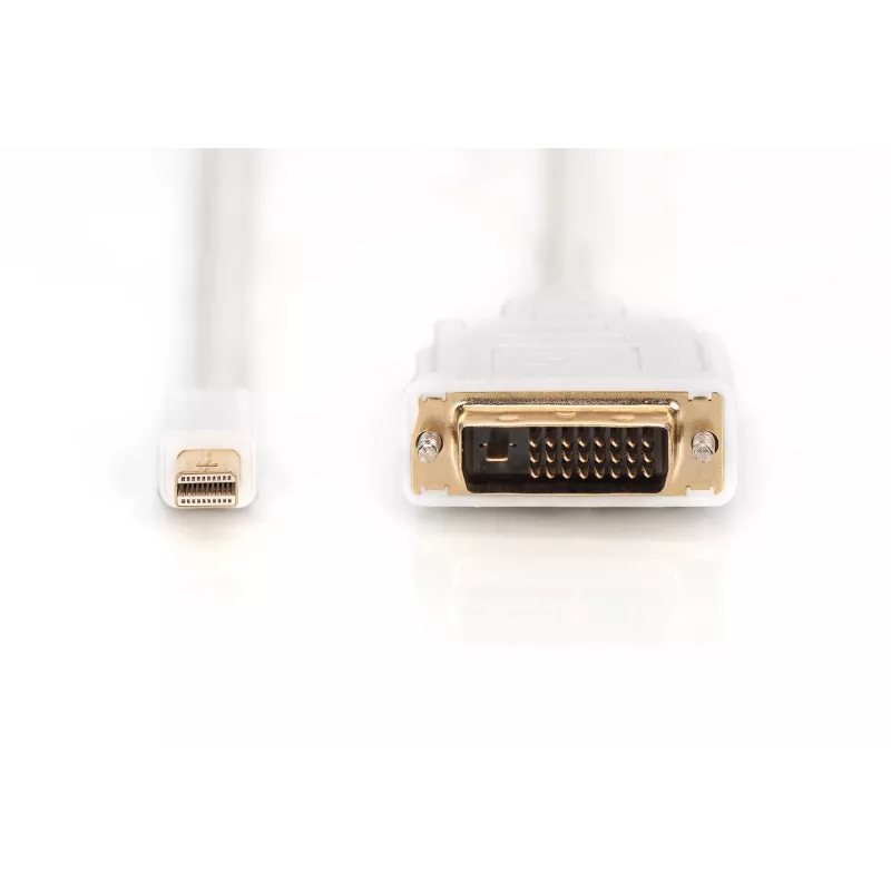 Laidas DisplayPort 1.1a mini DP-DVI tyPA MM 2,0 m
