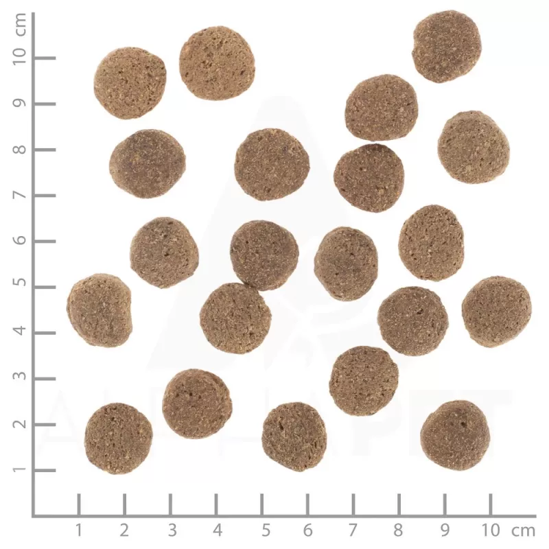 Sausas šunų maistas Wolfsblut VetLine Weight Management Turkey — 12 kg, be grūdų, 22% baltymų, 8% riebalų