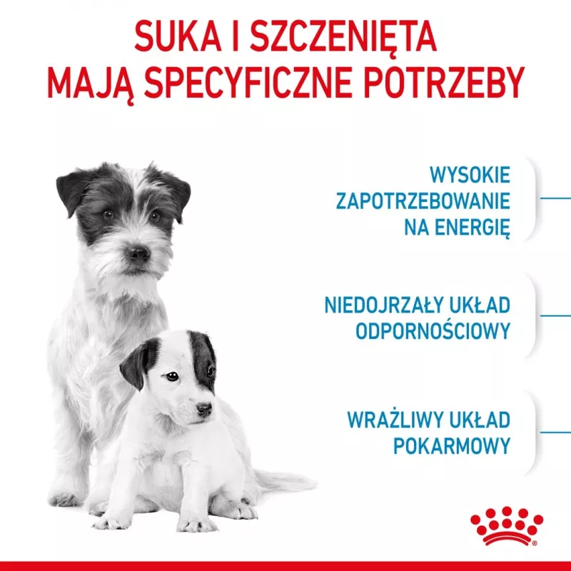 Sausas šunų maistas Royal Canin Starter Mother & Babydog 1 kg — vištienos, 30% baltymų, 22% riebalų