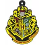 „Emtec“ USB atmintinė, 16 GB, USB Type-A, „Harry Potter“ kolekcininkų, Hogvartsas