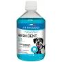 Burnos higienos tirpalas FRANCODEX Fresh dent 500 ml šunims ir katėms