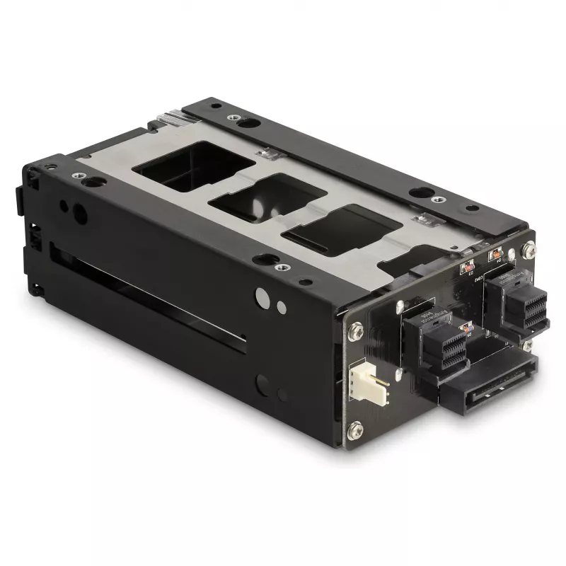 Kaupimo įrenginio dėklas DeLOCK plonas Bay Mobile Rack 2 x 2,5 colio U.2 NVMe SSD juodas
