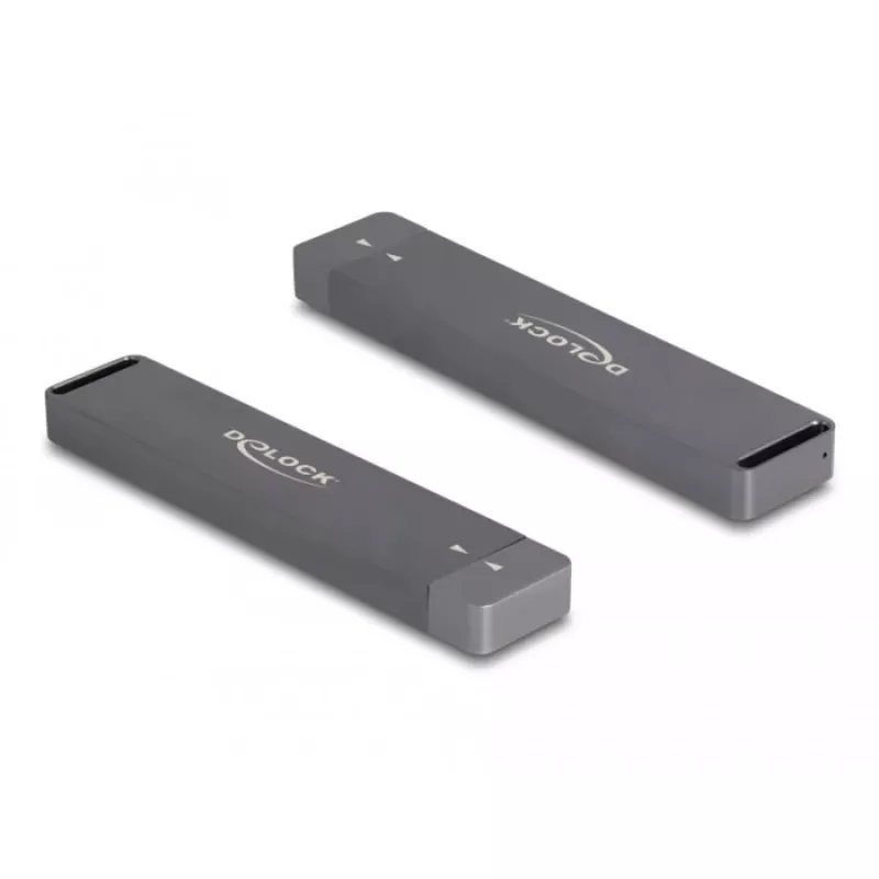 Delock 42021 Saugojimo diskas Pilka