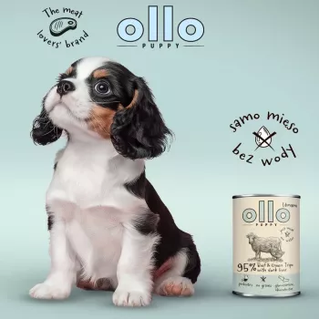 OLLO Puppy Umami jautiena ir žaliasis prieskrandis su anties kepenėlėmis – šlapias šunų maistas – 400 g