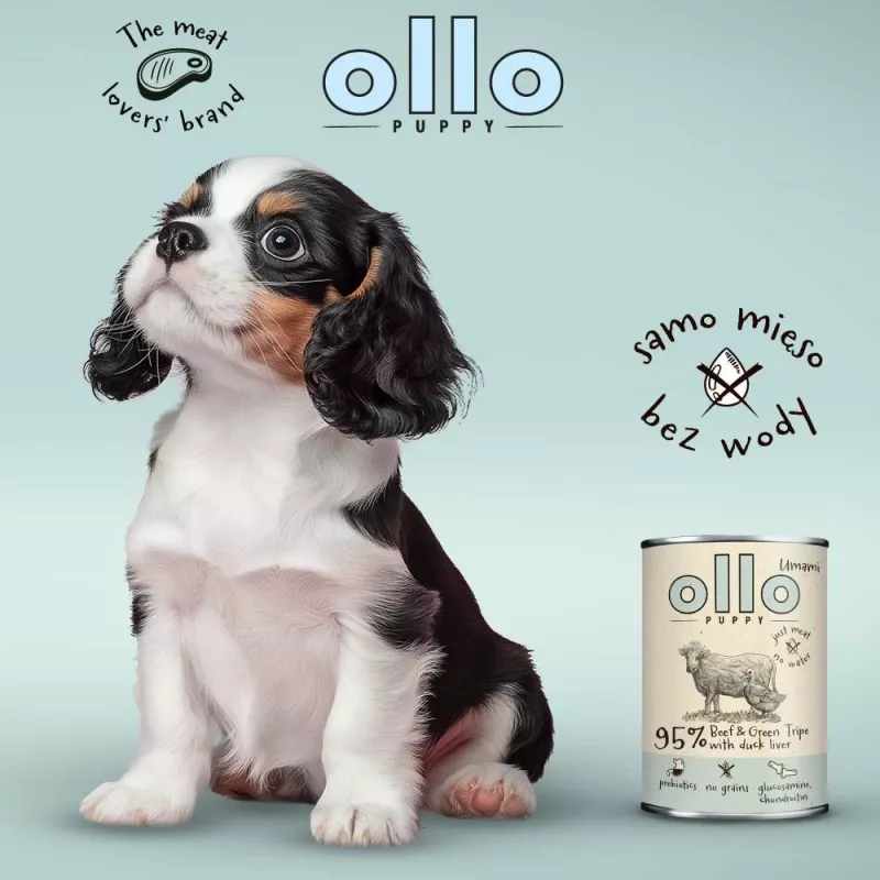 OLLO Puppy Umami jautiena ir žaliasis prieskrandis su anties kepenėlėmis – šlapias šunų maistas – 400 g