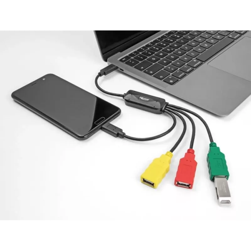 DeLOCK 4 prievadų USB 2.0 kabelinis šakotuvas USB Type-C į 3 x USB-A lizdus + 1 x USB-C kištukas