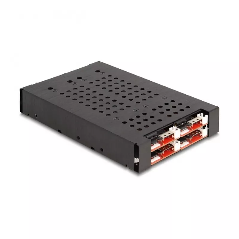 HDD Cage DeLOCK 47072 Rack Suderinama Metal 100mm Width