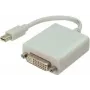 ”Mini DisplayPort“ / DVI laidas „ShiverPeaks“, baltas