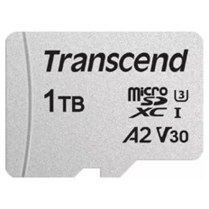 USD300S - 1 TB - MicroSDXC - 1 klasė - 3D NAND - 100 MB/s - 85 MB/s