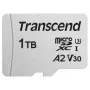 USD300S - 1 TB - MicroSDXC - 1 klasė - 3D NAND - 100 MB/s - 85 MB/s