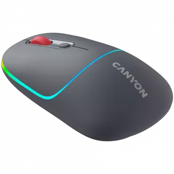Canyon MW-22 2in1 RGB belaidė pelė - pilka - Bluetooth/RF - 1.600 dpi - įkraunama