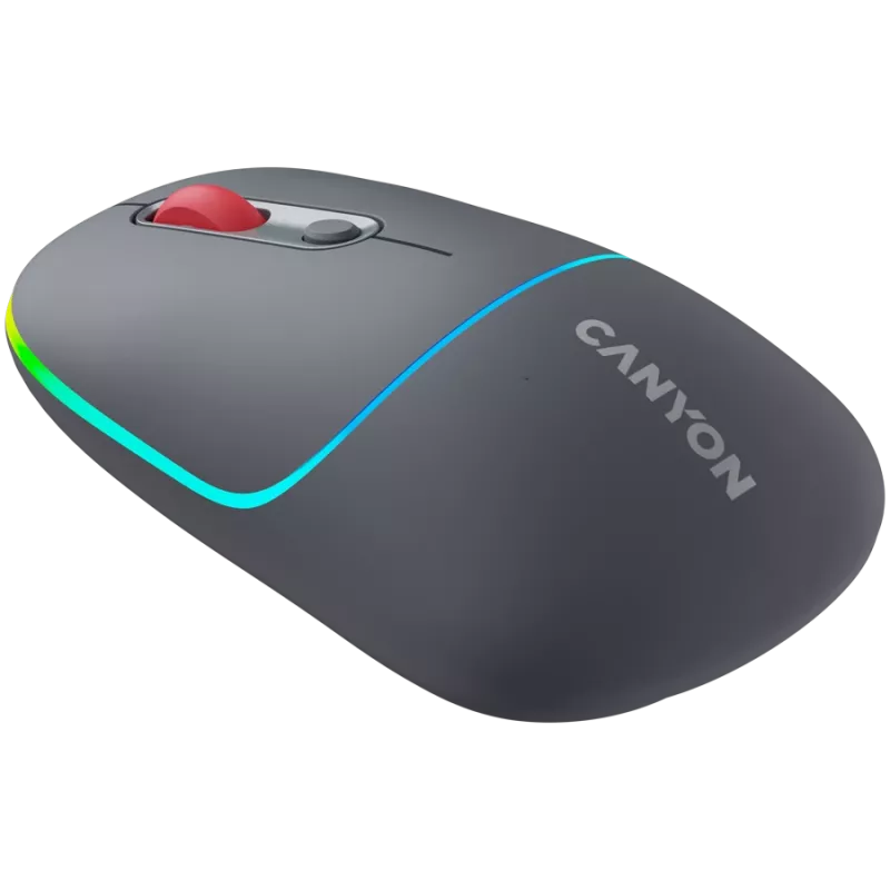 Canyon MW-22 2in1 RGB belaidė pelė - pilka - Bluetooth/RF - 1.600 dpi - įkraunama