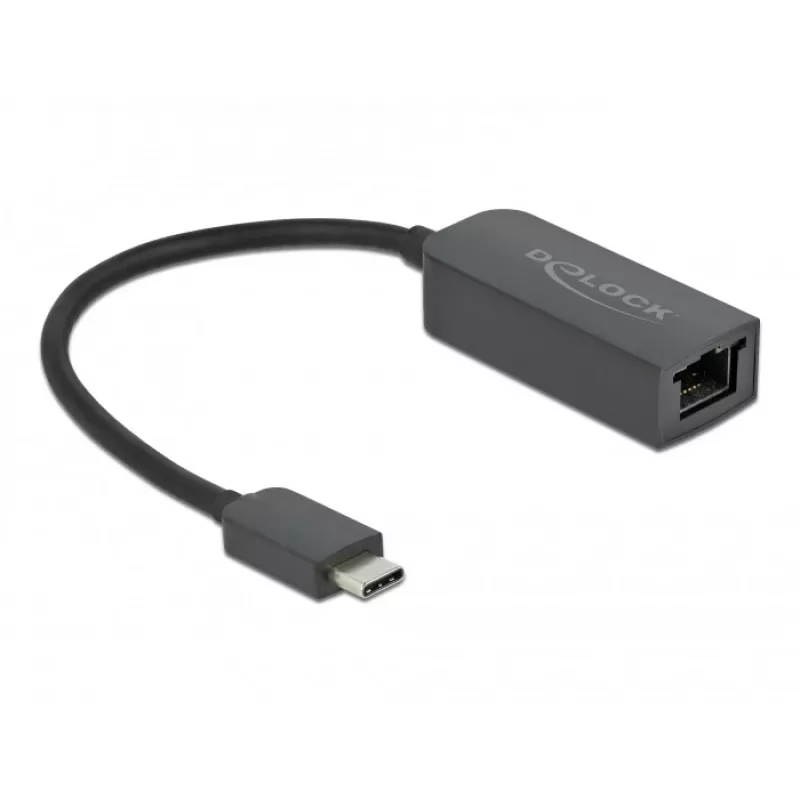 Adapter USB Type-C vyriškas į 2.5 Gigabit LAN kompaktiškas DeLOCK 66645