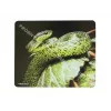 Natec NPP-0936 Product Balta