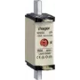 Hager LNH0160MK. Plotis: 30 mm, Aukštis: 79 mm (LNH0160MK)