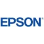 Epson C13T56F900 rašalo kasetė Originali šviesiai pilka