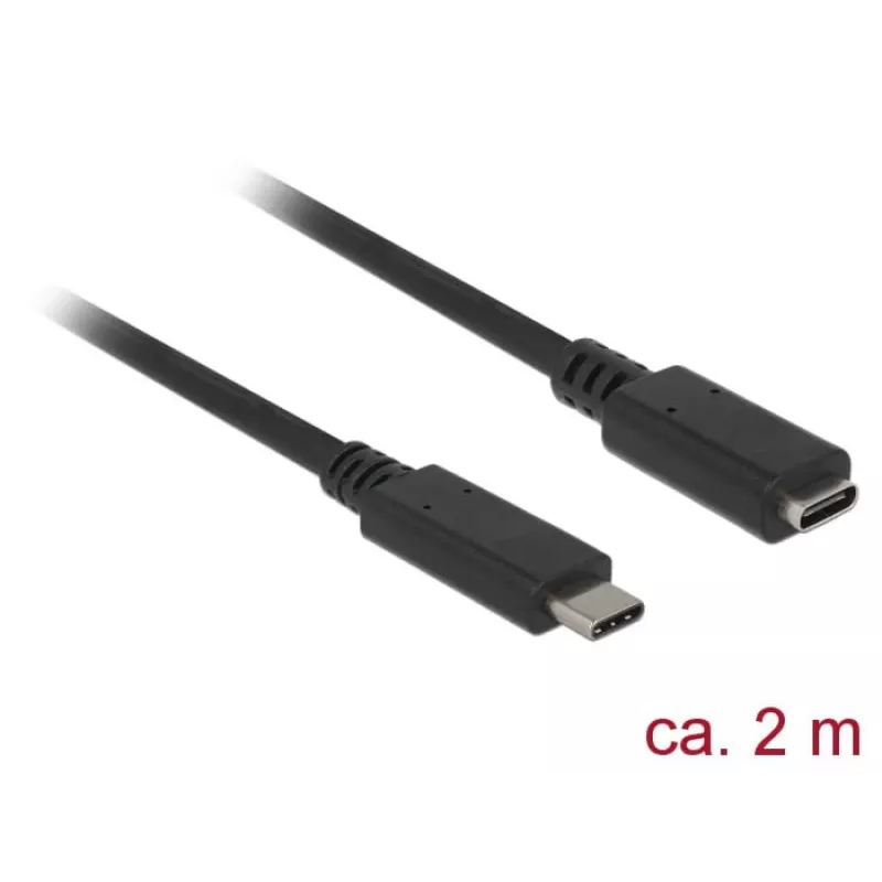 USB kabelis DeLOCK SuperSpeed USB 3.2 Gen 1 2m USB C juodas