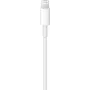 Apple MQGJ2ZM/A jungiamumo priedas, baltas