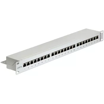 Skydelis DeLOCK 43300 1U RJ-45 pilkas