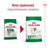 Sausas šunų maistas Royal Canin Adult Mini S 8 kg — visavertė mityba mažiems suaugusiems šunims