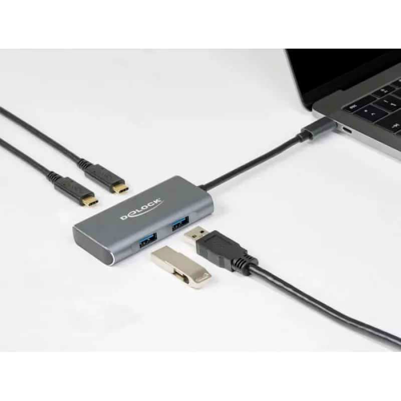 USB šakotuvas DeLOCK išorinis USB 10 Gbps USB Type-C šakotuvas 63260