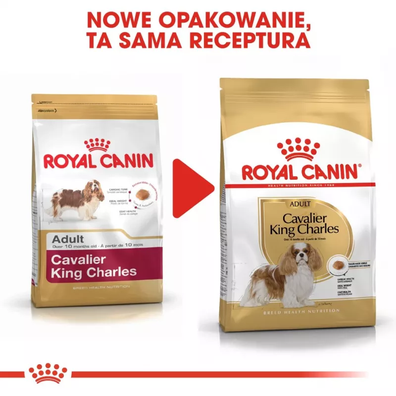 Sausas šunų maistas Royal Canin Cavalier King Charles Adult 1,5 kg — Vištiena, Maža veislė, Odos ir kailio, Širdies palaikymas