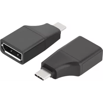 ROTRONIC-SECOMP VALUE - Vaizdo adapteris - 24 kontaktų USB-C (V) į DisplayPort (M)
