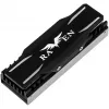 M.2 SSD aušinimo rinkinys SidabrinėSTONE SST-TP03-ARGB su ARGB palaikymu