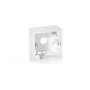 Equip Keystone System Surface Mounting Back Box 761302