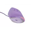 „NATEC Crake 2 Pro“ pelė universali dešiniarankė USB-A optinė 12800 DPI