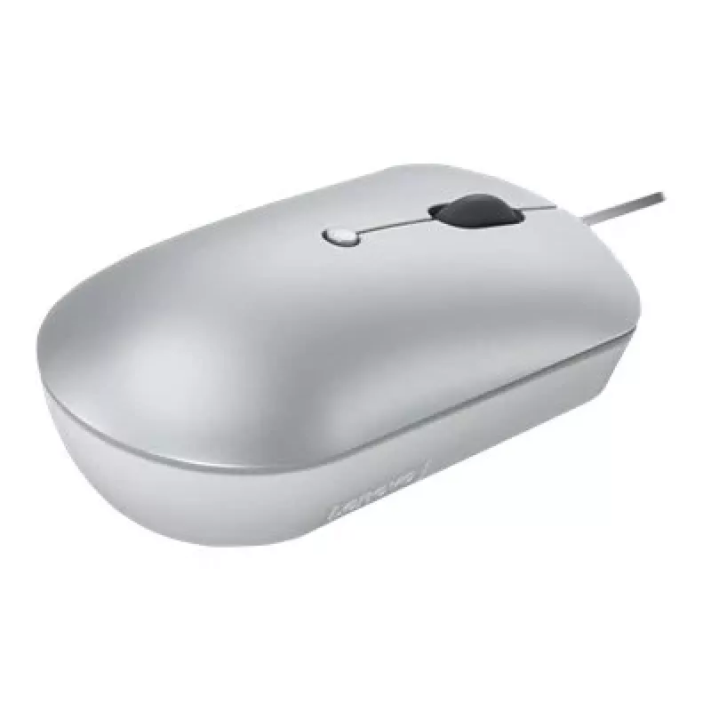 Laidinė optinė abiem rankoms tinkama pelė Lenovo 540 USB Type-C, 3 DPI režimai, pilka, 4 mygtukai, 1,8 m laidas