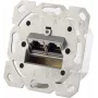 Tinklo lizdas ShiverPeaks 74280 Cat.6A 2 portų