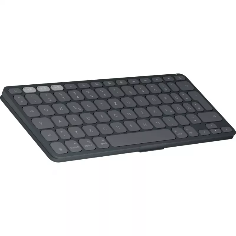 Logitech 920-013004 gaminys