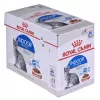 Šlapias kačių maistas Royal Canin Indoor Sterilized 12 x 85 g — paukštiena, suaugusios sterilizuotos naminės katės