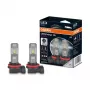 LED rūko žibinto lemputė Ledvance H8/H11/H16 EPACK OSR64211DWESY-2HB 6000K 12V